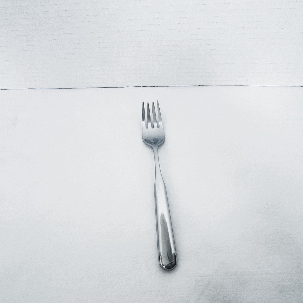 WMF Cromargan SALZBURG Stainless Flatware 7-3/4 Inch Dinner Fork Japan